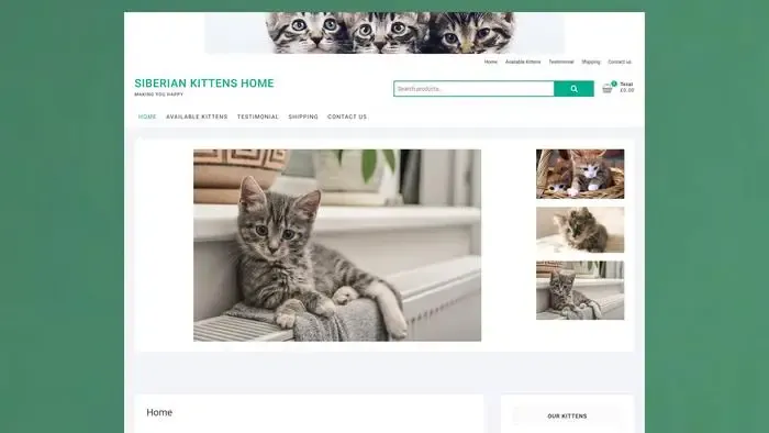 Screenshot of