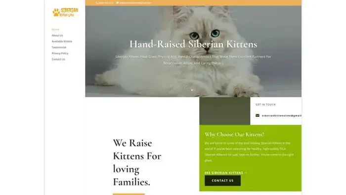 Screenshot of