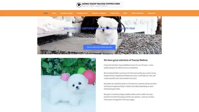 Screenshot of