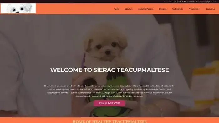 Screenshot of