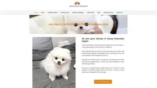 Screenshot of