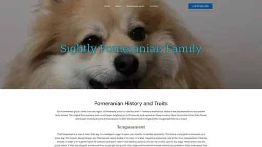 Screenshot of