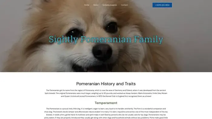 Screenshot of