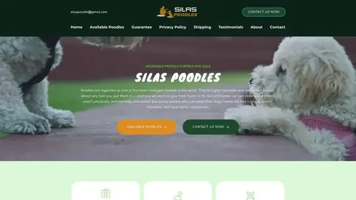 Screenshot of
