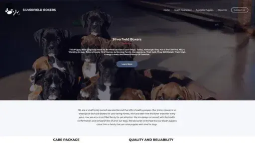 Screenshot of
