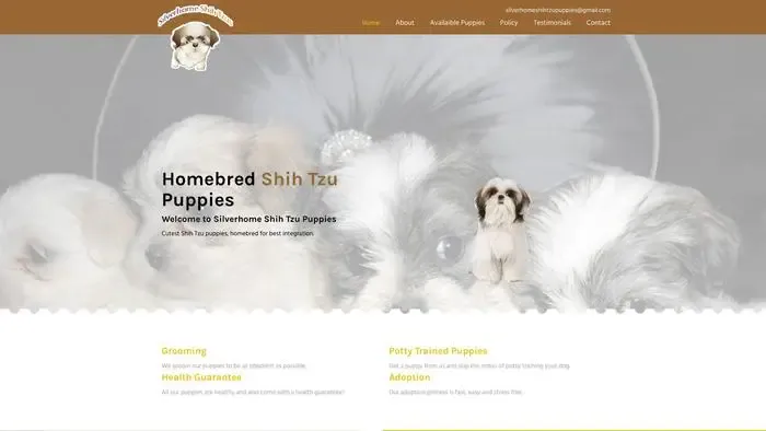 Screenshot of