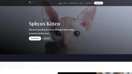 Screenshot of