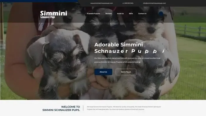 Screenshot of