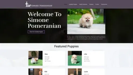 Screenshot of