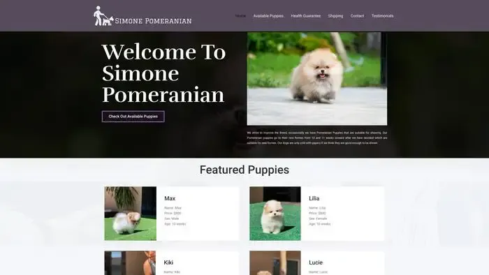 Screenshot of