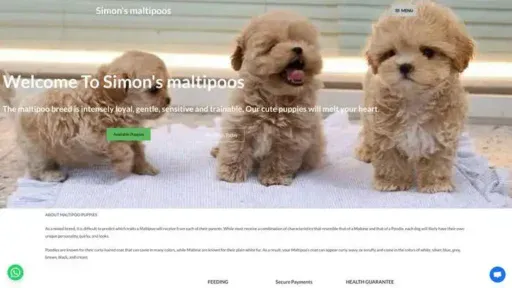 Screenshot of