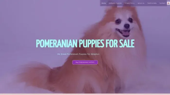 Screenshot of