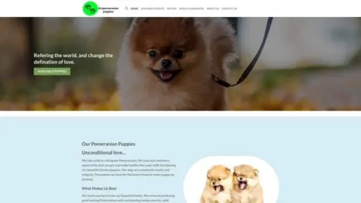 Screenshot of
