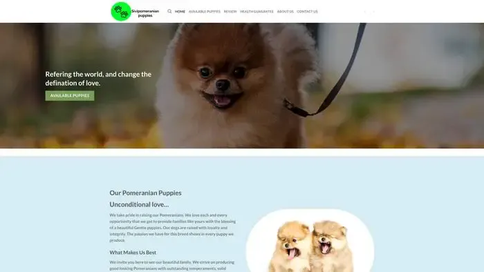 Screenshot of