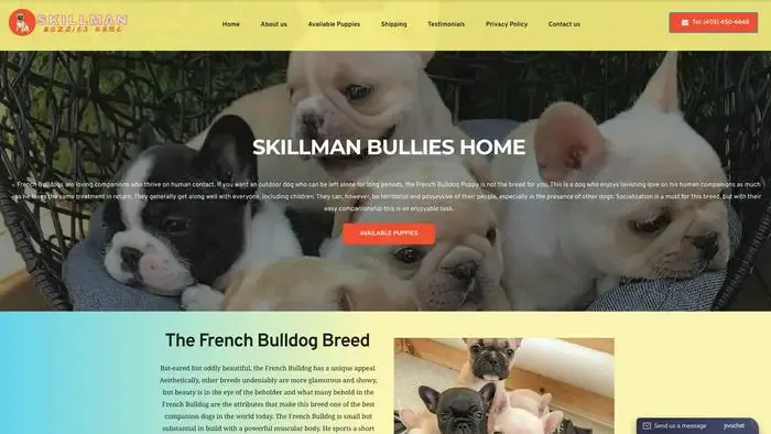 Screenshot of