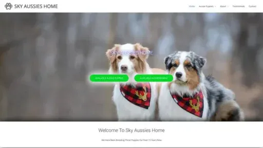 Screenshot of