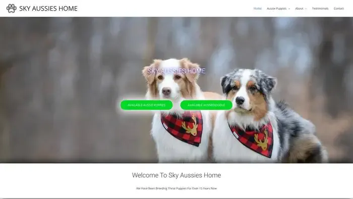 Screenshot of