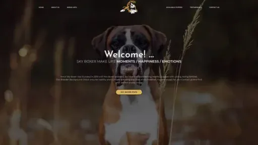 Screenshot of
