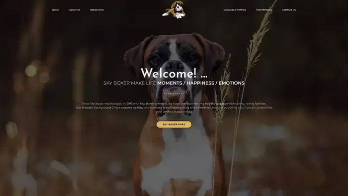 Screenshot of