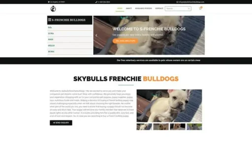 Screenshot of