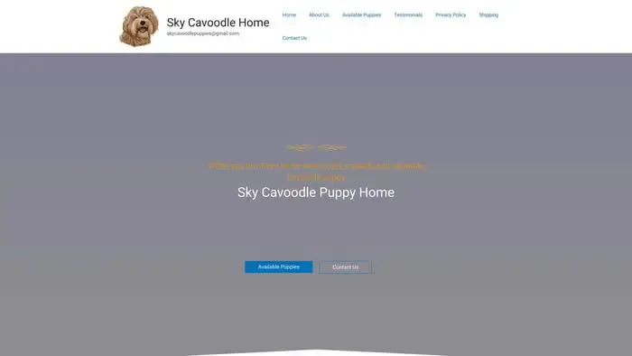 Screenshot of