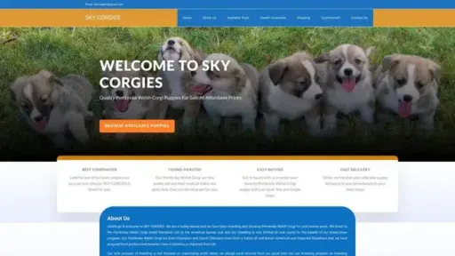 Screenshot of