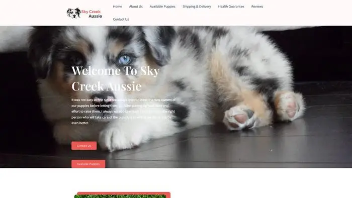 Screenshot of