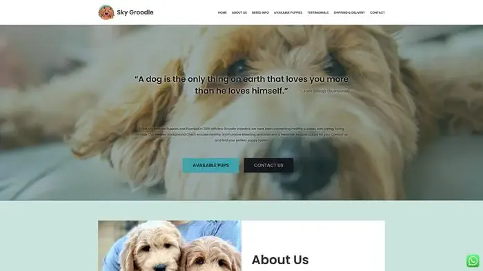 Screenshot of