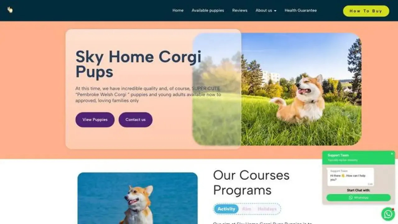 Skyhomecorgipups