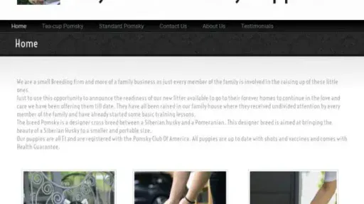 Screenshot of
