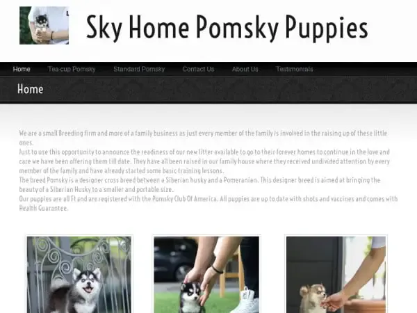 Screenshot of