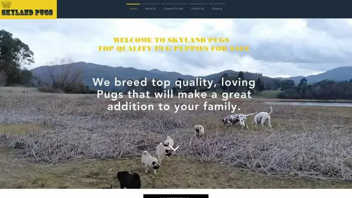 Screenshot of