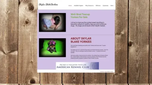 Screenshot of