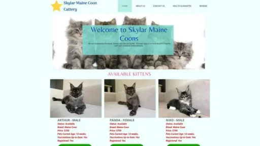 Screenshot of