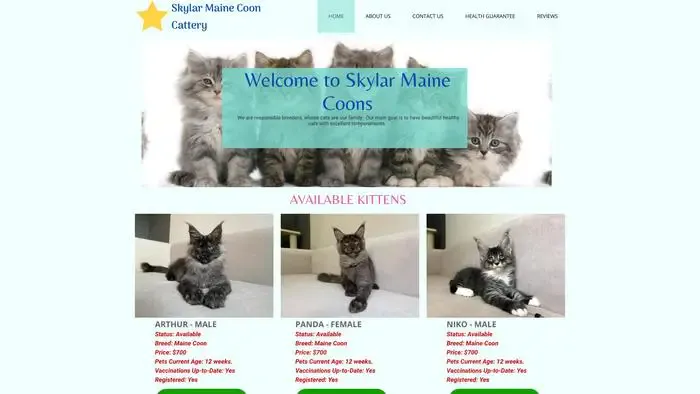 Screenshot of
