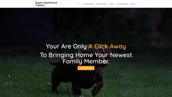 Screenshot of
