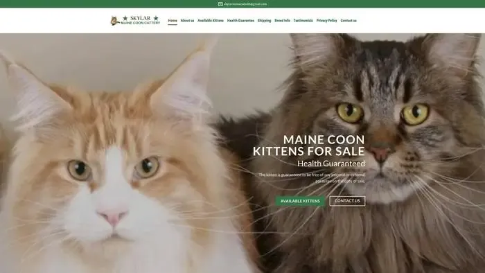 Screenshot of