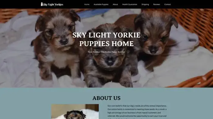 Screenshot of