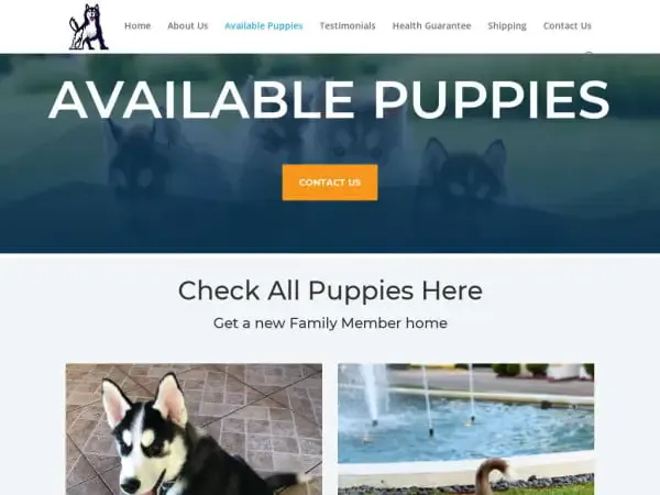 Screenshot of