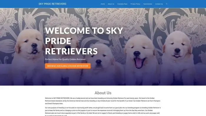Screenshot of