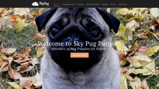 Screenshot of