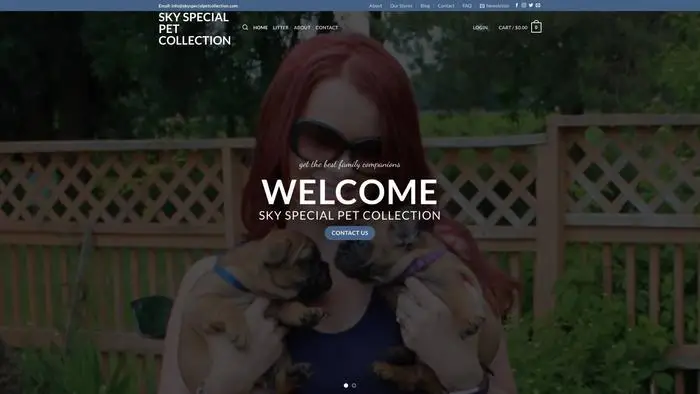 Screenshot of