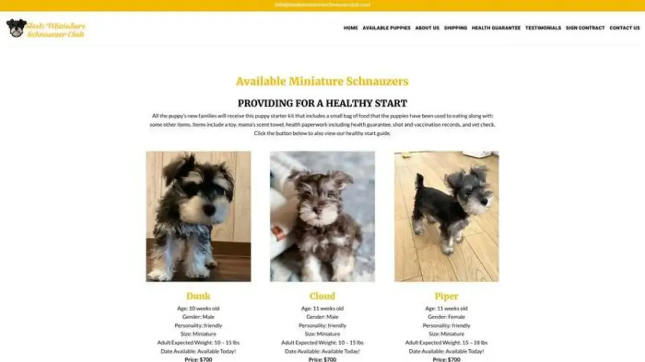 Sleekminiatureschnauzerclub