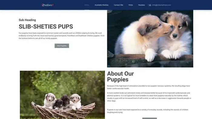 Screenshot of