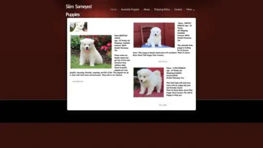 Screenshot of