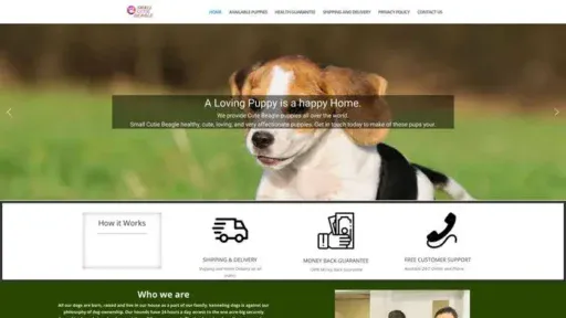 Screenshot of
