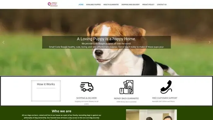 Screenshot of