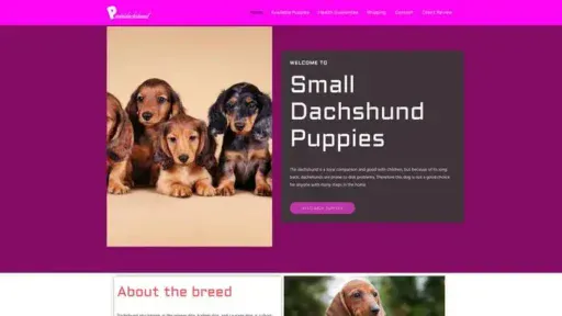 Screenshot of