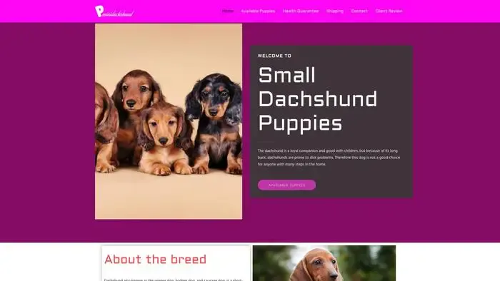 Screenshot of