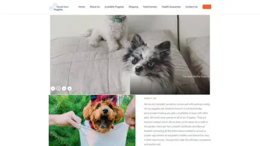 Screenshot of